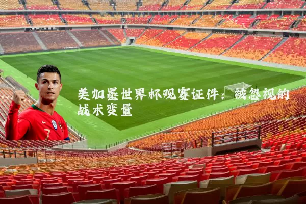 美加墨世界杯观赛证件：被忽视的战术变量